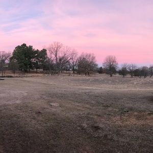 Meet your Posher, Shay